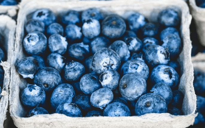 How Much Money Can You Make Picking Blueberries